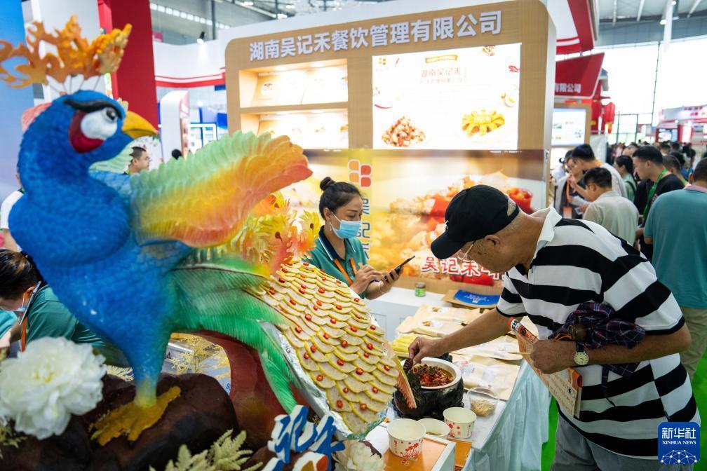 da大宝游戏下载大全